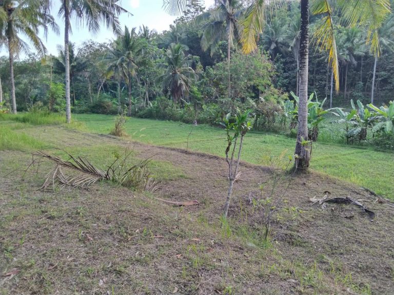 Lokasi Dsn Pendem RT 11 RW 06 Desa Sidomulyo Kec Pengasih Kulonprogo.