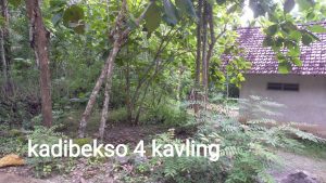 Dijual tanah di Kadibeso Argodadi Sedayu Bantul wa 085695871736
